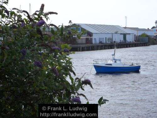 Sligo Harbour